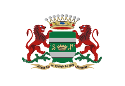 Escudo de San Fernando