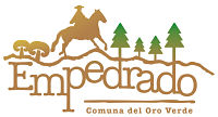 Escudo de Empedrado
