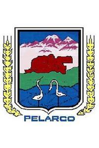 Escudo de Pelarco