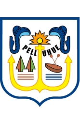 Escudo de Pelluhue