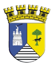Escudo de Lota