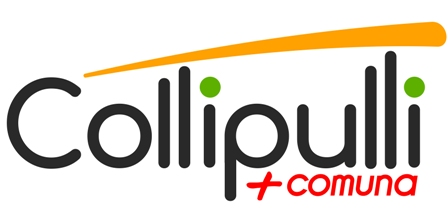 Escudo de Collipulli