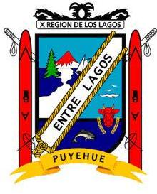 Escudo de Puyehue