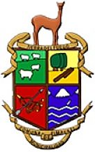 Escudo de Timaukel