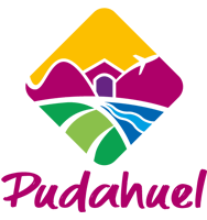 Escudo de Pudahuel