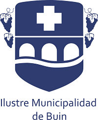 Escudo de Buin