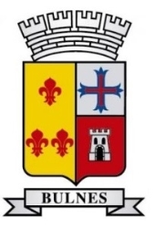 Escudo de Bulnes