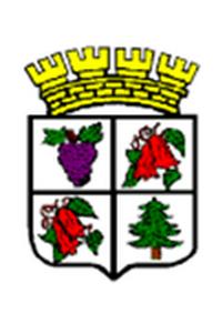 Escudo de Trehuaco