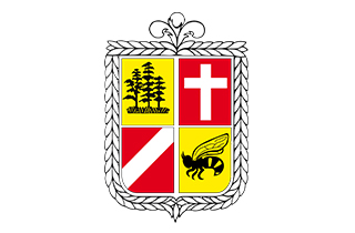 Escudo de Coihueco